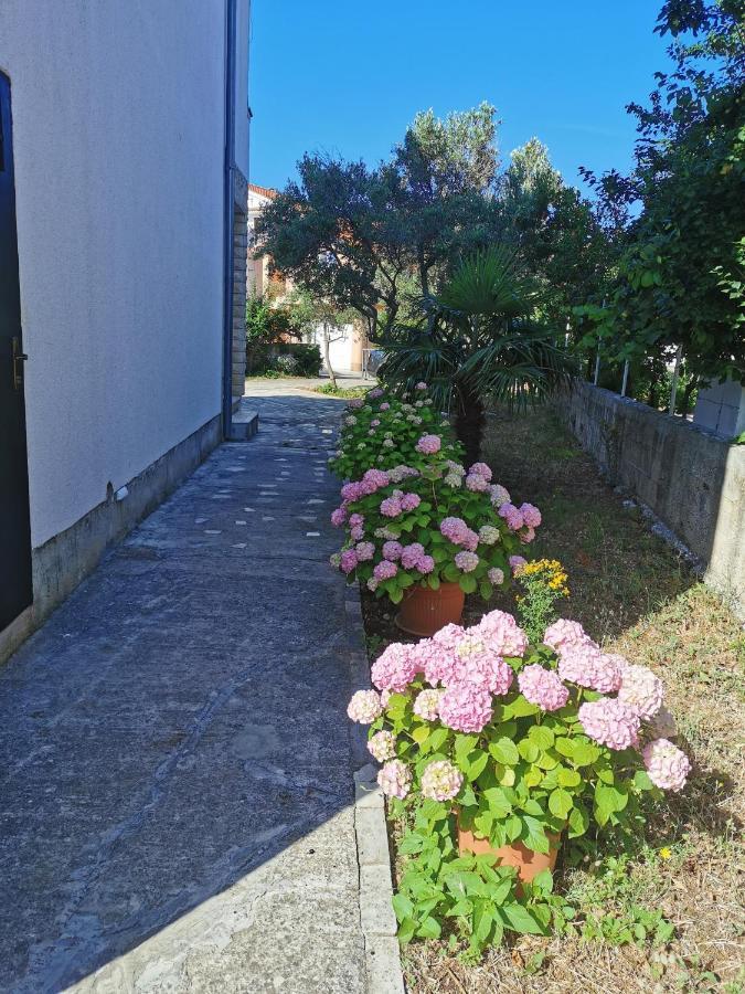 Bugenvila Rogoznica  Buitenkant foto